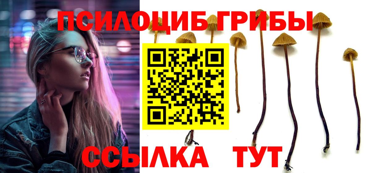 Галлюциногенные грибы мицелий Омск