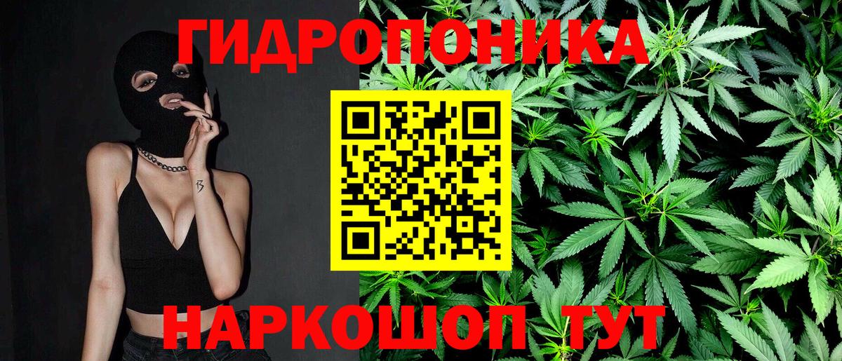 Марихуана AK-47  Вход с VPN  Омск  Шишки марихуана тримм  Канабис Amnesia 